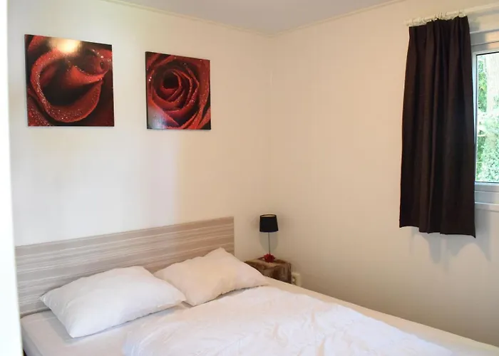 Wellness - Recreatiepark De Boshoek Semesterpark